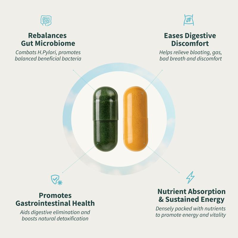 Gut Health Bundle - Snap Supplements - Gut Health + Spirulina & Chlorella