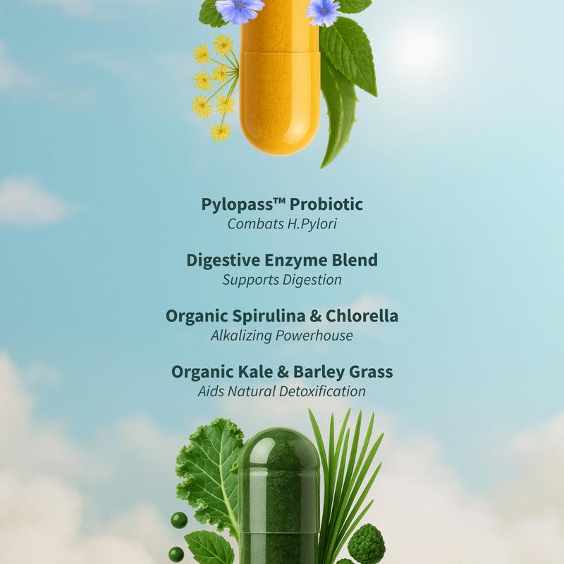 Gut Health Bundle - Snap Supplements - Gut Health + Spirulina & Chlorella
