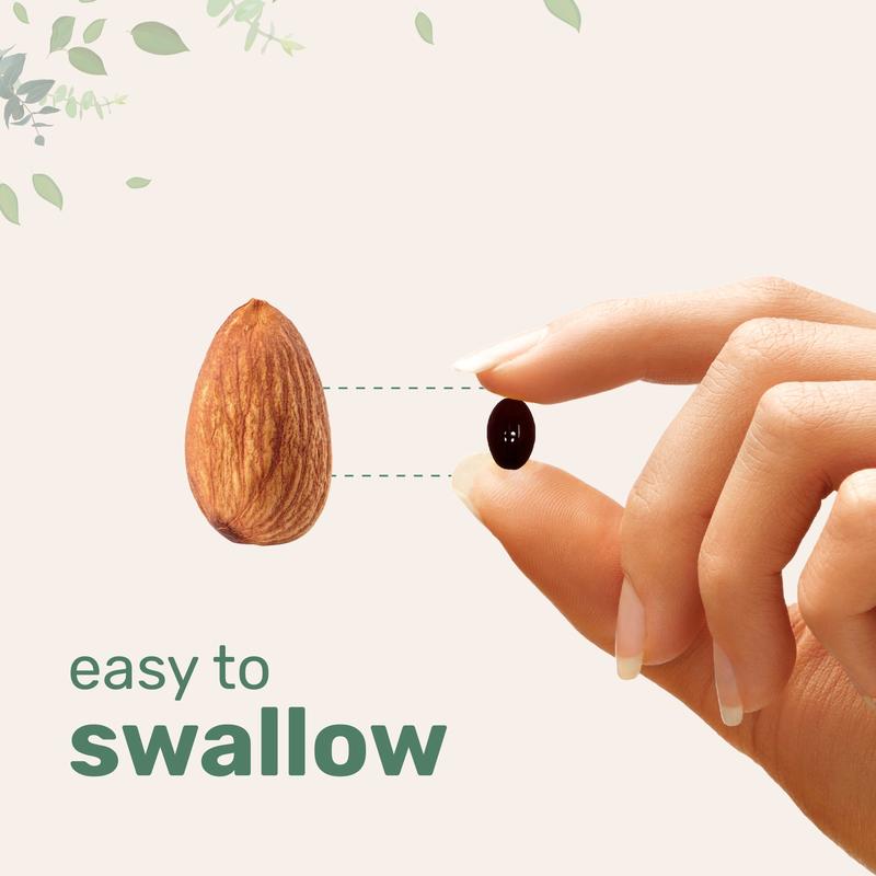 Micro Ingredients Ashwagandha Supplements